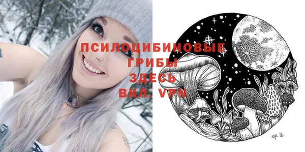 дмт Абинск